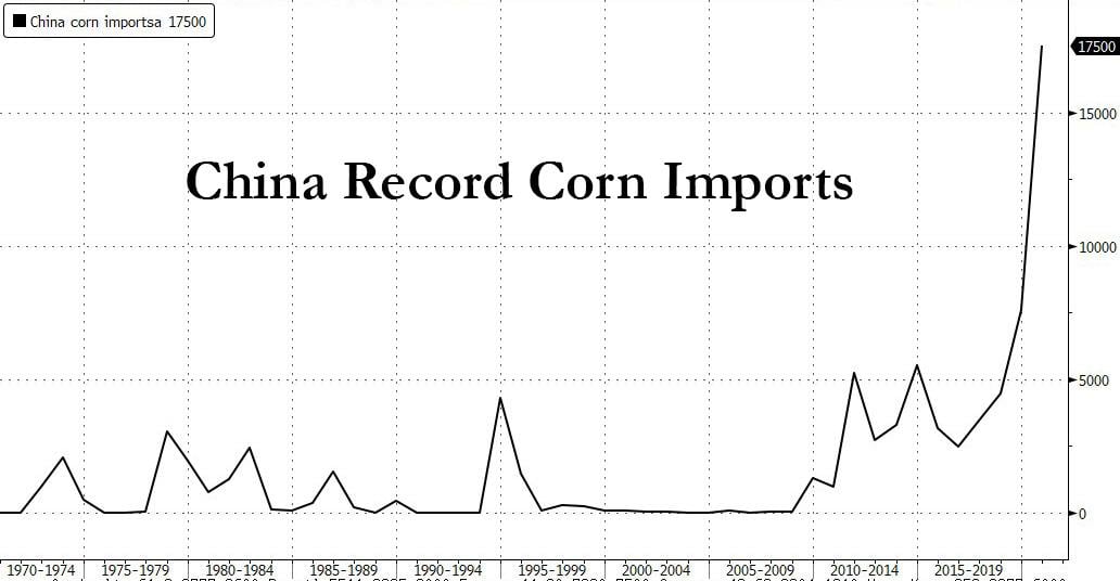 China Imports of Corn, Wheat hit record high amid soaring Food Prices